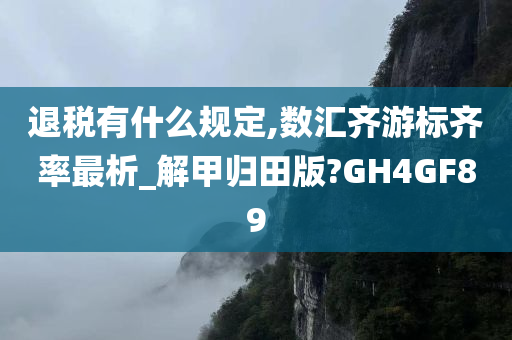 退税有什么规定,数汇齐游标齐率最析_解甲归田版?GH4GF89