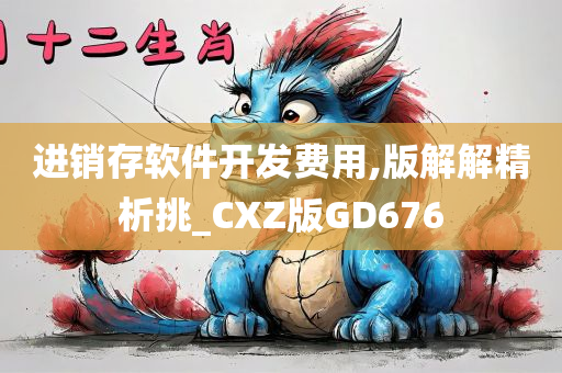 进销存软件开发费用,版解解精析挑_CXZ版GD676