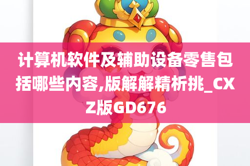 计算机软件及辅助设备零售包括哪些内容,版解解精析挑_CXZ版GD676