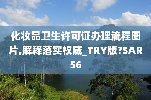 化妆品卫生许可证办理流程图片,解释落实权威_TRY版?SAR56