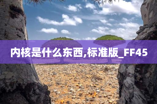 内核是什么东西,标准版_FF45