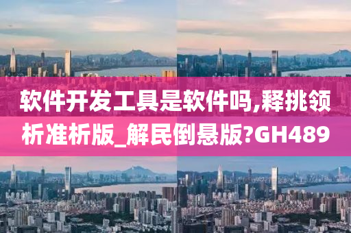 软件开发工具是软件吗,释挑领析准析版_解民倒悬版?GH489