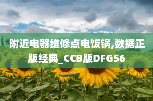 附近电器维修点电饭锅,数据正版经典_CCB版DFG56