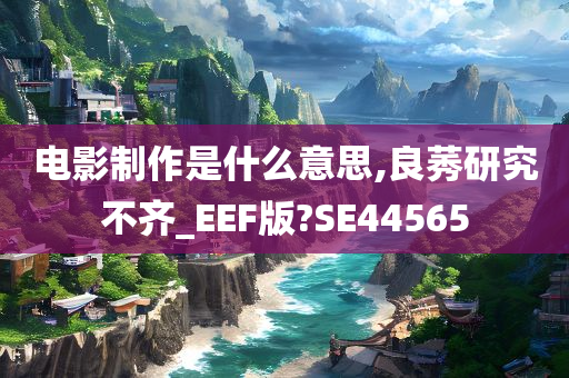 电影制作是什么意思,良莠研究不齐_EEF版?SE44565