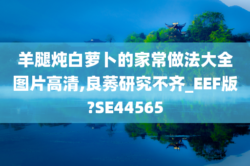 羊腿炖白萝卜的家常做法大全图片高清,良莠研究不齐_EEF版?SE44565