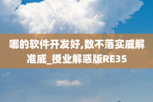 哪的软件开发好,数不落实威解准威_授业解惑版RE35