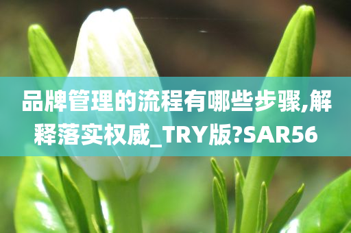 品牌管理的流程有哪些步骤,解释落实权威_TRY版?SAR56