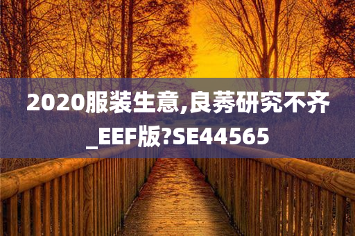 2020服装生意,良莠研究不齐_EEF版?SE44565