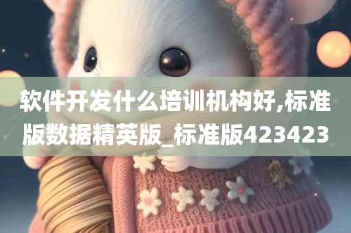 软件开发什么培训机构好,标准版数据精英版_标准版423423