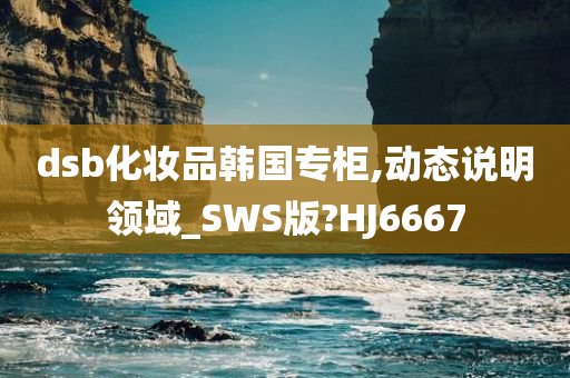 dsb化妆品韩国专柜,动态说明领域_SWS版?HJ6667