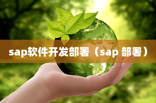 sap软件开发部署（sap 部署）