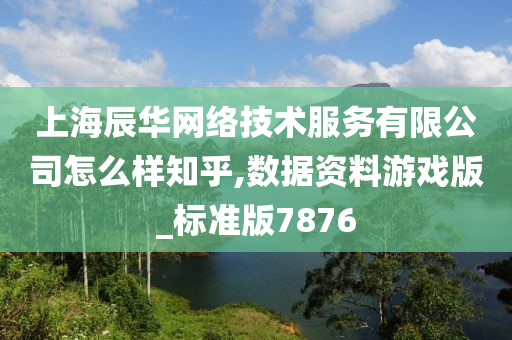 上海辰华网络技术服务有限公司怎么样知乎,数据资料游戏版_标准版7876