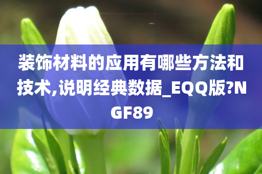 装饰材料的应用有哪些方法和技术,说明经典数据_EQQ版?NGF89