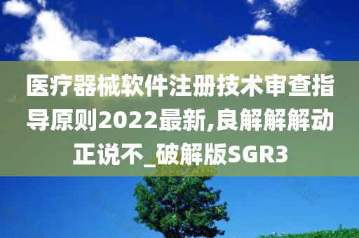 医疗器械软件注册技术审查指导原则2022最新,良解解解动正说不_破解版SGR3