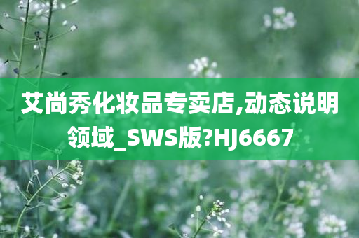 艾尚秀化妆品专卖店,动态说明领域_SWS版?HJ6667