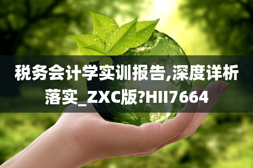 税务会计学实训报告,深度详析落实_ZXC版?HII7664