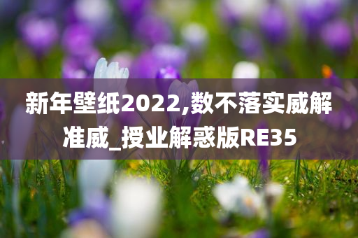 新年壁纸2022,数不落实威解准威_授业解惑版RE35