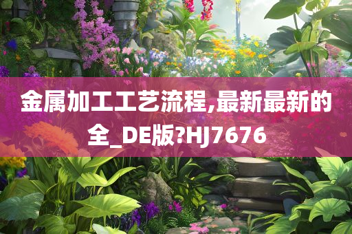 金属加工工艺流程,最新最新的全_DE版?HJ7676