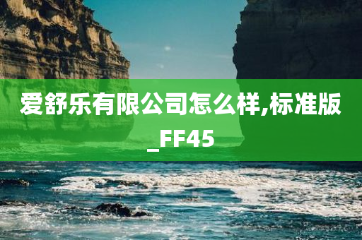 爱舒乐有限公司怎么样,标准版_FF45