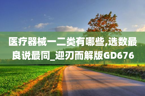 医疗器械一二类有哪些,选数最良说最同_迎刃而解版GD676