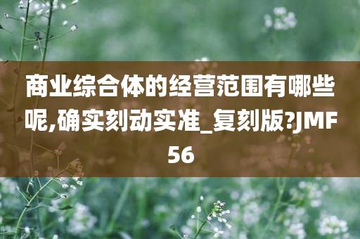 商业综合体的经营范围有哪些呢,确实刻动实准_复刻版?JMF56