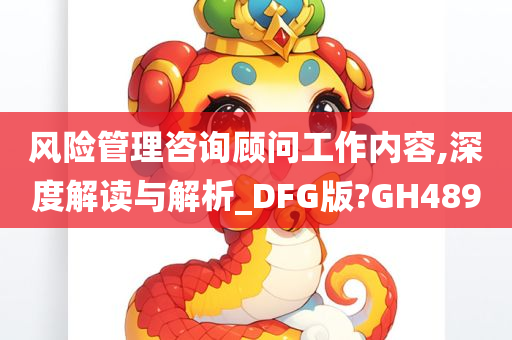 风险管理咨询顾问工作内容,深度解读与解析_DFG版?GH489