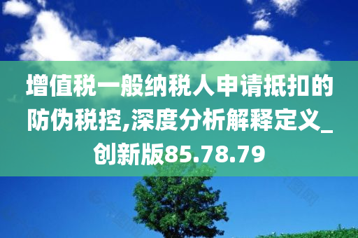 增值税一般纳税人申请抵扣的防伪税控,深度分析解释定义_创新版85.78.79