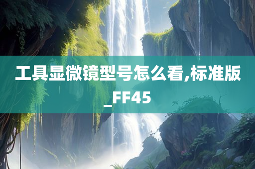 工具显微镜型号怎么看,标准版_FF45