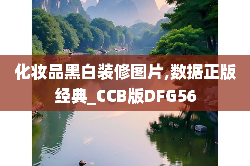 化妆品黑白装修图片,数据正版经典_CCB版DFG56