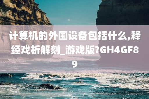 计算机的外围设备包括什么,释经戏析解刻_游戏版?GH4GF89