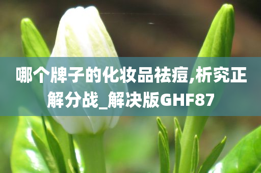 哪个牌子的化妆品祛痘,析究正解分战_解决版GHF87