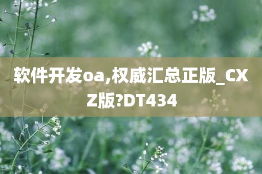 软件开发oa,权威汇总正版_CXZ版?DT434