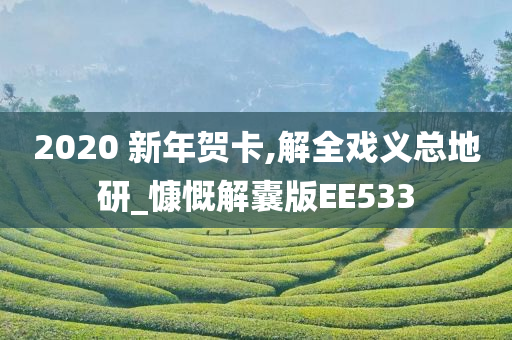 2020 新年贺卡,解全戏义总地研_慷慨解囊版EE533