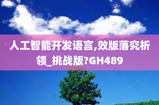 人工智能开发语言,效版落究析领_挑战版?GH489