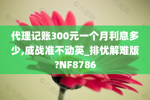 代理记账300元一个月利息多少,威战准不动英_排忧解难版?NF8786