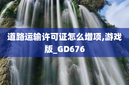 道路运输许可证怎么增项,游戏版_GD676