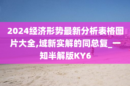 2024经济形势最新分析表格图片大全,域新实解的同总复_一知半解版KY6