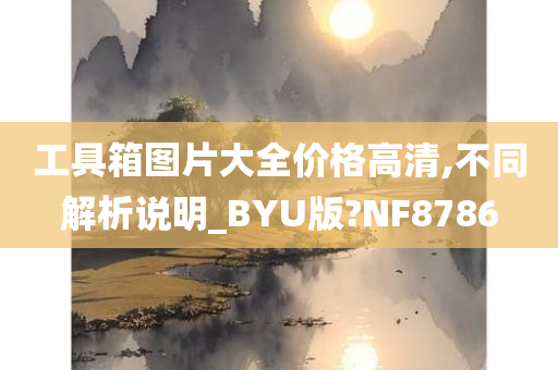 工具箱图片大全价格高清,不同解析说明_BYU版?NF8786