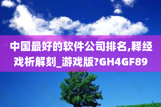 中国最好的软件公司排名,释经戏析解刻_游戏版?GH4GF89