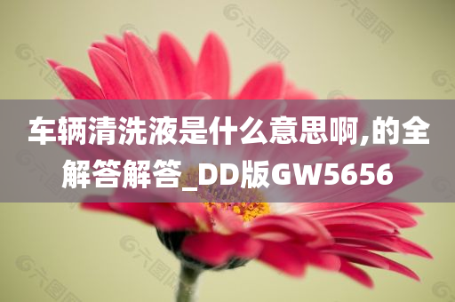 车辆清洗液是什么意思啊,的全解答解答_DD版GW5656