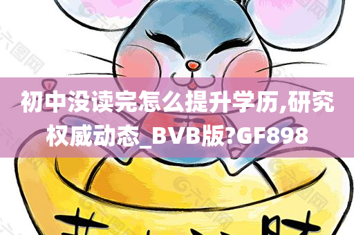 初中没读完怎么提升学历,研究权威动态_BVB版?GF898