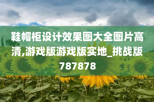 鞋帽柜设计效果图大全图片高清,游戏版游戏版实地_挑战版787878