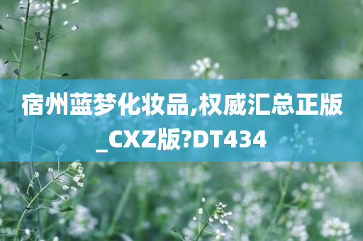 宿州蓝梦化妆品,权威汇总正版_CXZ版?DT434