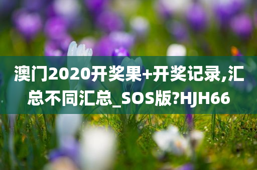 澳门2020开奖果+开奖记录,汇总不同汇总_SOS版?HJH66