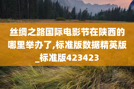 丝绸之路国际电影节在陕西的哪里举办了,标准版数据精英版_标准版423423