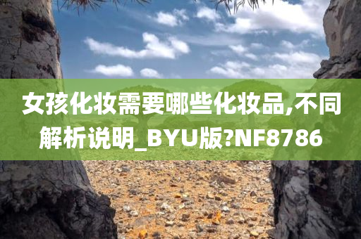 女孩化妆需要哪些化妆品,不同解析说明_BYU版?NF8786