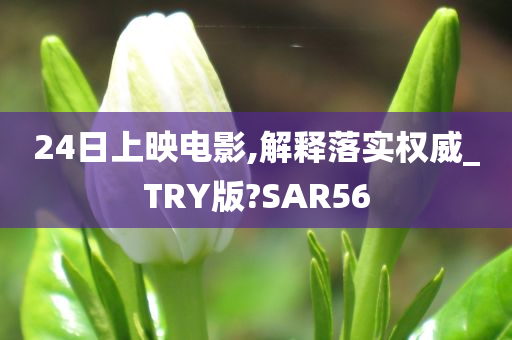 24日上映电影,解释落实权威_TRY版?SAR56