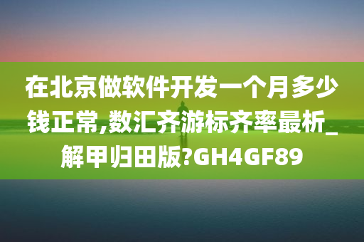 在北京做软件开发一个月多少钱正常,数汇齐游标齐率最析_解甲归田版?GH4GF89