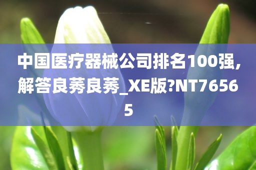 中国医疗器械公司排名100强,解答良莠良莠_XE版?NT76565