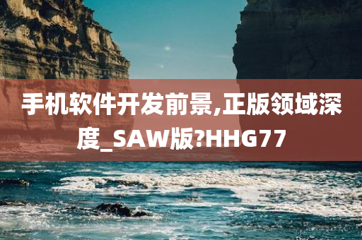 手机软件开发前景,正版领域深度_SAW版?HHG77